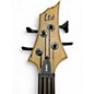 Used ESP LTD B204SM Spalted Maple Electric Bass Guitar