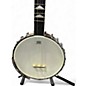 Used Gold Tone WL250 Natural Banjo