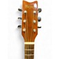 Used 2001 Washburn D10-N Natural Acoustic Guitar