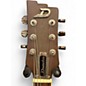 Used Dussenberg Rusty C.C Rustic Burst Hollow Body Electric Guitar
