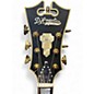 Used D'Angelico DLX EXL1 Green Hollow Body Electric Guitar