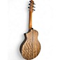 Used 2010s Ibanez EWP 14 OPN Walnut Acoustic Guitar