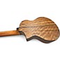Used 2010s Ibanez EWP 14 OPN Walnut Acoustic Guitar