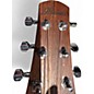 Used 2010s Ibanez EWP 14 OPN Walnut Acoustic Guitar