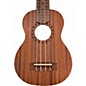 Used Cordoba UP 1S Mahogany Ukulele