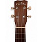 Used Cordoba UP 1S Mahogany Ukulele