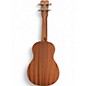 Used Cordoba UP 1S Mahogany Ukulele