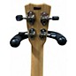 Used Cordoba 25CB Concert Natural Ukulele