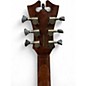 Used D'Angelico DAPTRVKOA Brown Acoustic Guitar