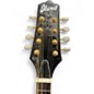 Used Ibanez M511SE 2 Color Sunburst Mandolin