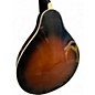 Used Ibanez M511SE 2 Color Sunburst Mandolin