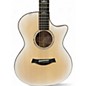 Used Taylor 614CE LTD Trans White Acoustic Electric Guitar