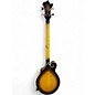 Used Morgan Monroe Mando Bass 3 Color Sunburst Electric Bass Guitar