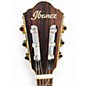 Used Ibanez TOD10N Black Classical Acoustic Guitar