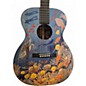 Used Martin om biosohere Custom Graphic Acoustic Guitar