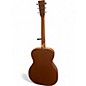 Used Martin om biosohere Custom Graphic Acoustic Guitar