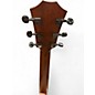 Used Taylor GT811e Natural Acoustic Electric Guitar