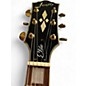 Used Firefly ELITE Green Solid Body Electric Guitar