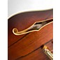 Used D'Angelico DC Deluxe Brown Hollow Body Electric Guitar