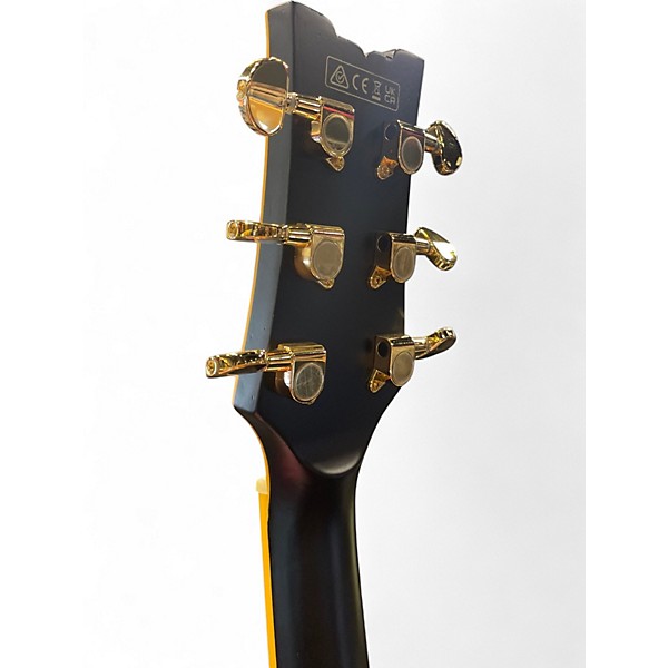 Used Ibanez jsm20 Black Hollow Body Electric Guitar