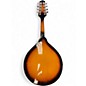 Used Rogue RM100A A Style 3 Color Sunburst Mandolin