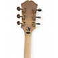 Used Epiphone Jerry Cantrell Prophecy White Solid Body Electric Guitar