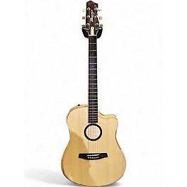 Used LR Baggs AEG1 Natural Acoustic Electric Guitar