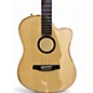 Used LR Baggs AEG1 Natural Acoustic Electric Guitar