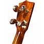 Used Koloa UK-600 Brown Ukulele
