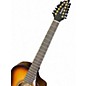 Used Breedlove ARTISTA PRO CONCERT BA12 CE Sunburst 12 String Acoustic Electric Guitar