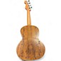 Used Fender Dhani Harrison Signature Ukulele Turquoise Ukulele