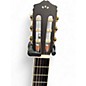 Used Cordoba c4ce iberia Brown Sunburst Classical Acoustic Electric Guitar
