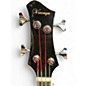 Used Vizcaya AEBBKAKIT Black Acoustic Bass Guitar