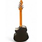 Used Schecter Guitar Research DJ ASHBA Black Acoustic Guitar