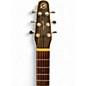 Used Seagull Maritime Cutaway Natural Acoustic Electric Guitar