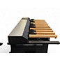 Used Hammond XPK-200GL Sustain Pedal