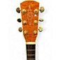 Used Alvarez FD60 Amber Acoustic Electric Guitar