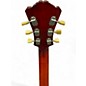 Used Eastman T49D/V Maple Hollow Body Electric Guitar