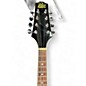 Used Rogue MADOLIN 2 Tone Sunburst Mandolin