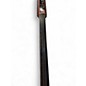 Used Steinberger NS DESIGN NXT UPRIGHT BASS Brown Sunburst Upright Bass