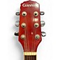 Used Giannini DG41 Natural Acoustic Electric Guitar