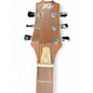 Used Peavey DW2 Natural Acoustic Guitar