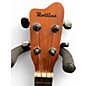 Used Rollins ROL-598 Natural Ukulele
