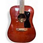 Used Nashville N25D Maple Acoustic Guitar