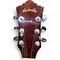 Used Nashville N25D Maple Acoustic Guitar