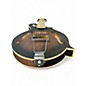 Used Gold Tone F-6 ACOUSTIC ELECTRIC 6 STRING MANDO-GUITAR Vintage Sunburst Mandolin
