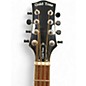 Used Goldtone Mandocello Sunburst Mandolin