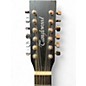 Used Tanglewood Blackbird 12 String Black 12 String Acoustic Electric Guitar