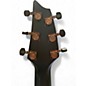Used Breedlove Rainforest S Concert Trans Black Acoustic Electric Guitar