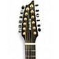 Used Breedlove ORGANIC SOLO CN 12 2 Tone Sunburst 12 String Acoustic Electric Guitar